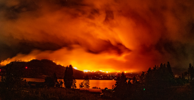 A forest fire burns near a residential area in the Okanagan Valley, BC.