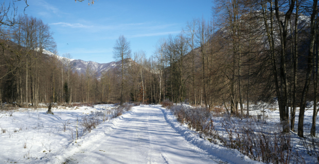 The gorgeous winter day is bright; the sky is bright blue, snow covered mountains can be seen in the distance. There is a trail of groomed snow through the forest ready for the ATV enthusiast to hit the trail!