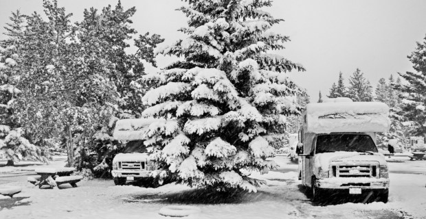 Two RV’s parked next to evergreen trees covered in snow on a snowy winter day.