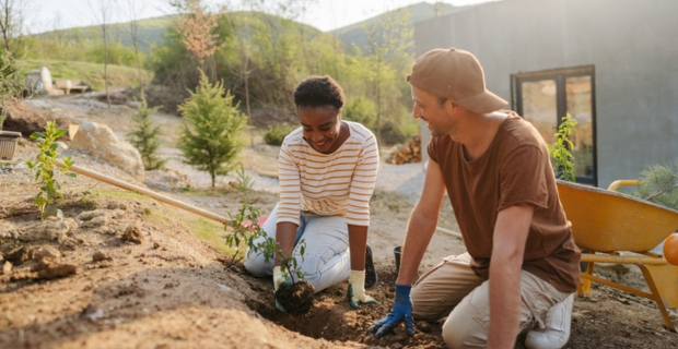 Photo of a couple planting new plants together as a part of a landscaping project in their backyard.