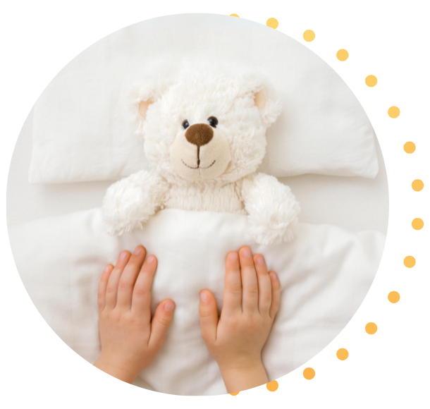 Teddy Bear