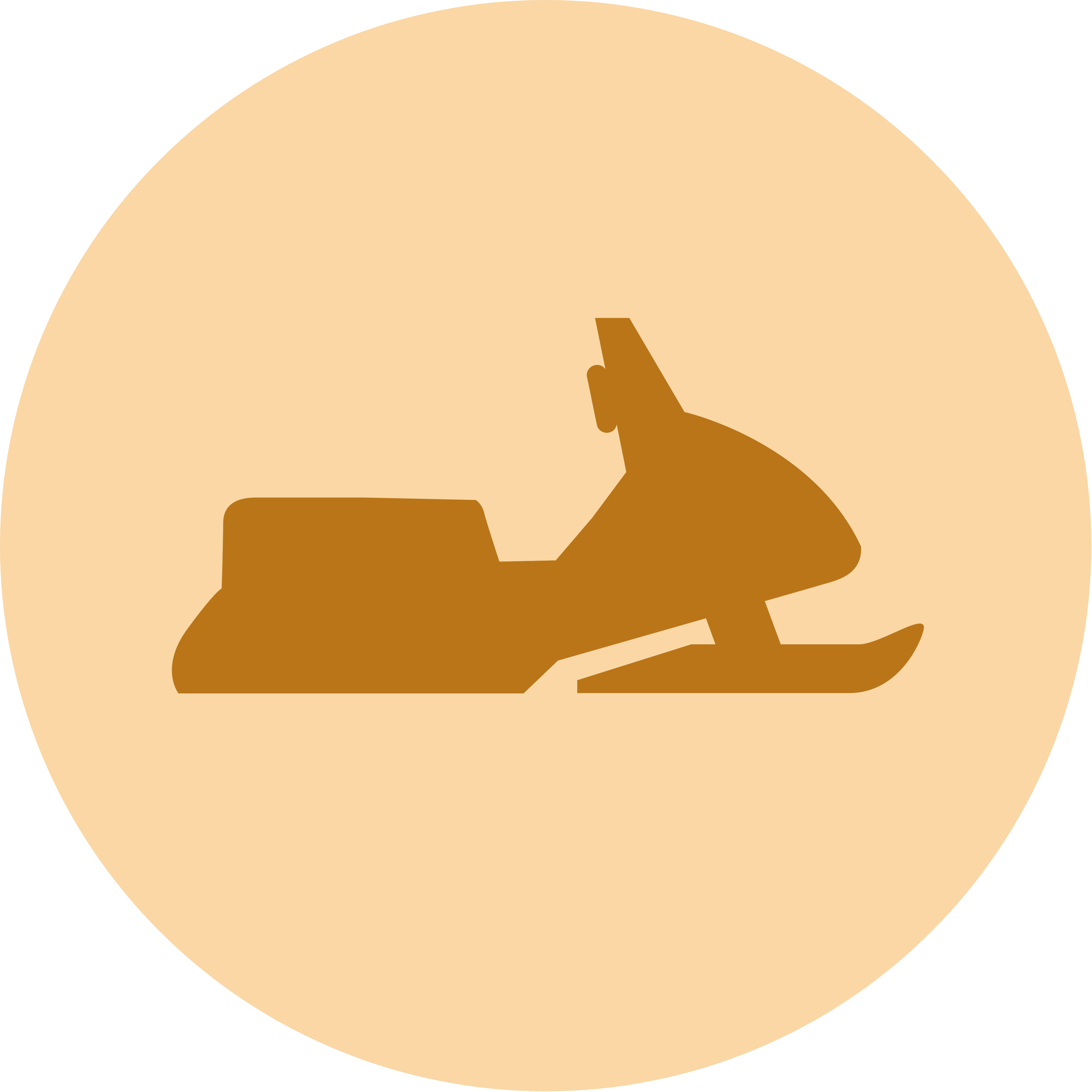 Snowmobile Insurance Icon