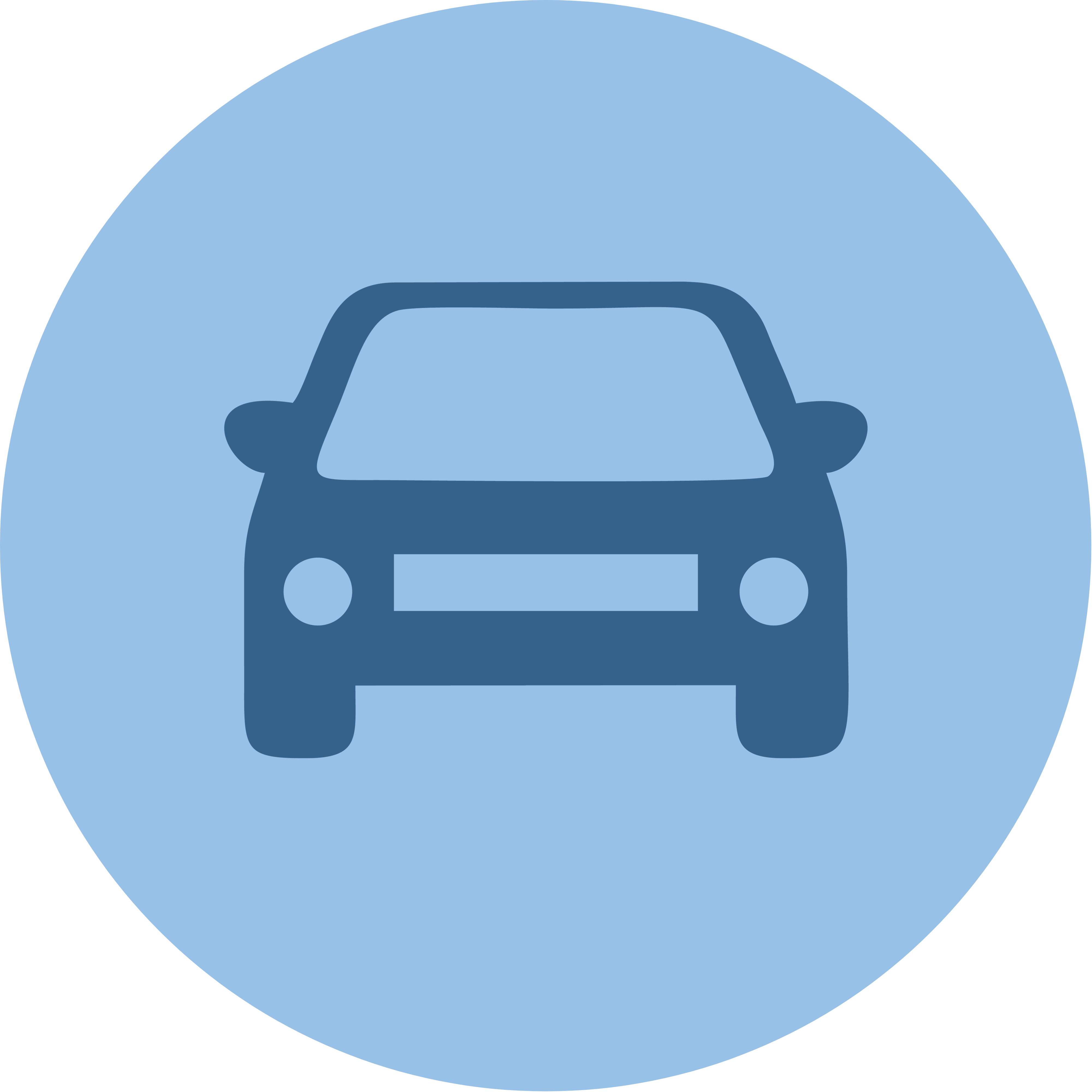Auto Insurance Icon